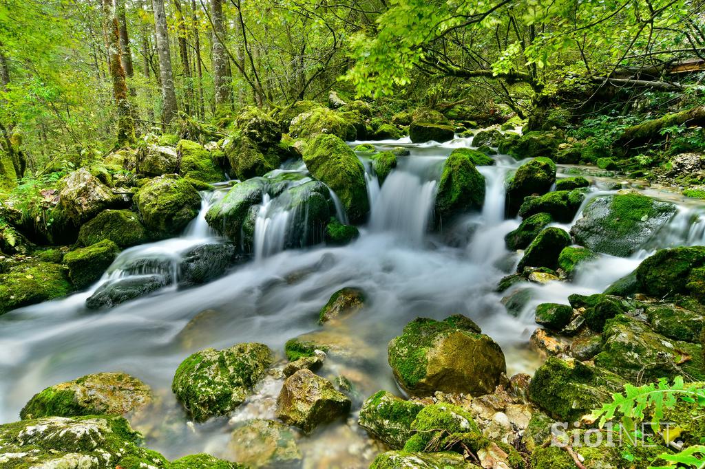 Koželjeva pot