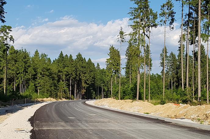 Obvoznica letališče Brnik cesta | Foto Gregor Pavšič