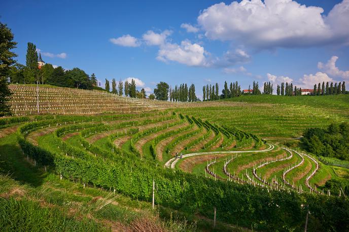 Jeruzalem, Prlekija | Foto Tomo Jeseničnik (www.slovenia.info)