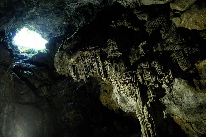 Astronavti so bili presenečeni tudi nad barvami in vonji, ko so se vrnili iz jame, saj je bilo vse bolj intenzivno. Podobno je, ko se vrneš iz vesolja. | Foto: Ana Kovač