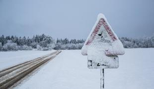 Konec tedna med pet in 20 centimetri snega (video)