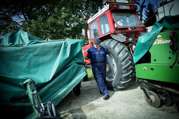 Kmetija majerič Branko Ptuj Ptujski lük čebula ohranitveno kmetijstvo | Foto: Ana Kovač