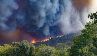 Razglašena velika požarna ogroženost, temperature blizu rekorda