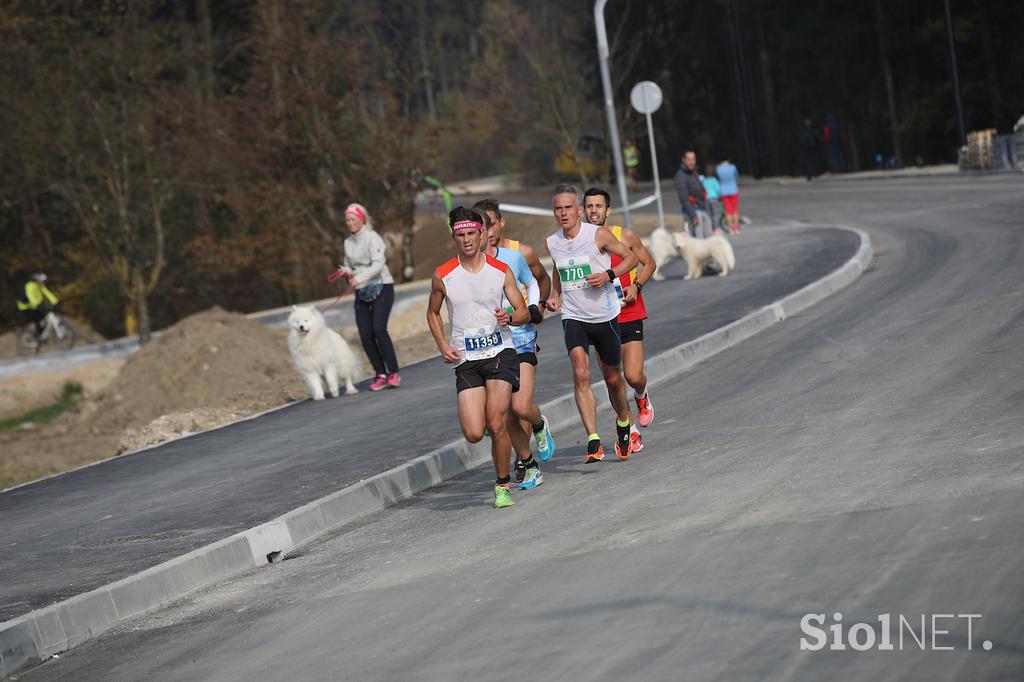 Ljubljanski maraton.