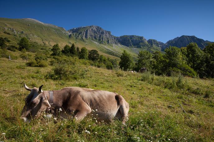 planina, dolina Soče | Foto Boris Pretnar (www.slovenia.info)