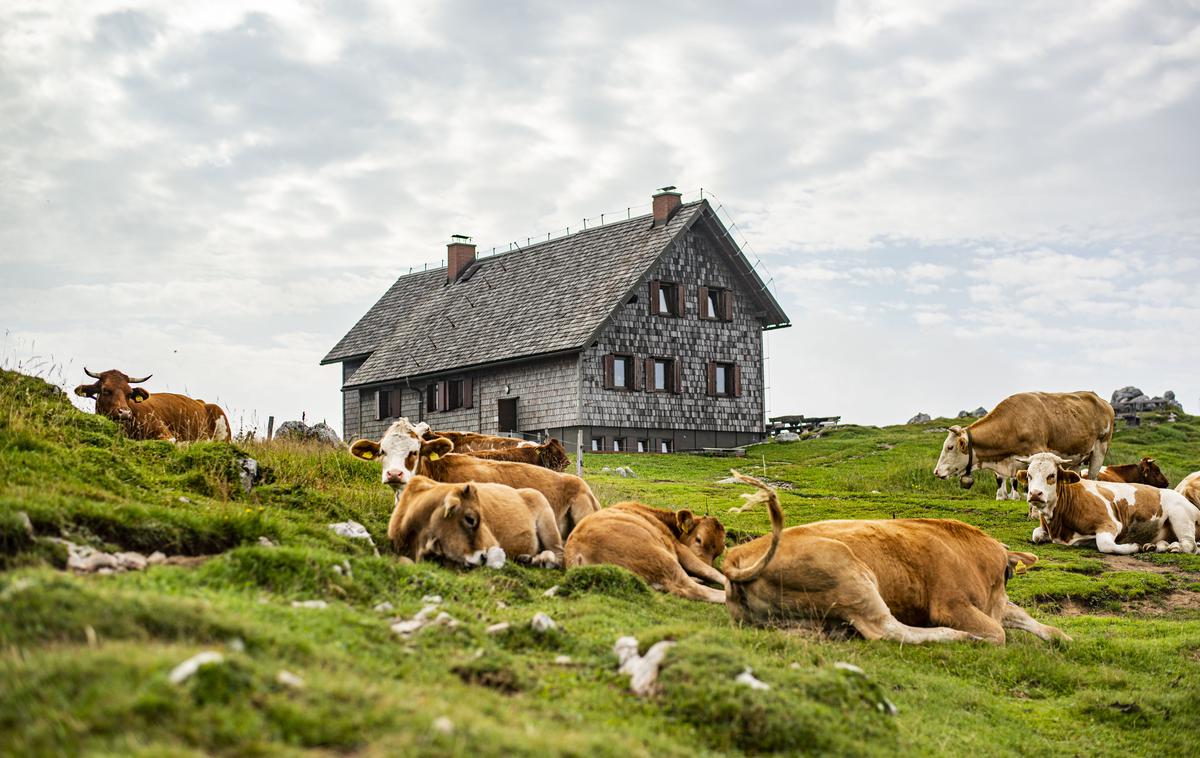 Krekova koča na Ratitovcu Ratitovec | Foto Peter Podobnik