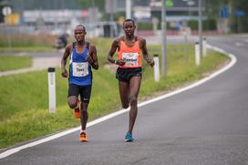 Maraton Treh src, Radenci