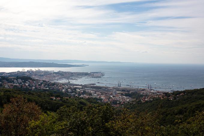 Svetovno znana regata Barkovljanka je dobila ime po predelu Trsta, ki nosi slovensko ime Barkovlje. Prireditev iz mesta in razglednih točk nad njim spremlja okoli četrt milijona gledalcev. | Foto: Morgan Kristan / Sportida