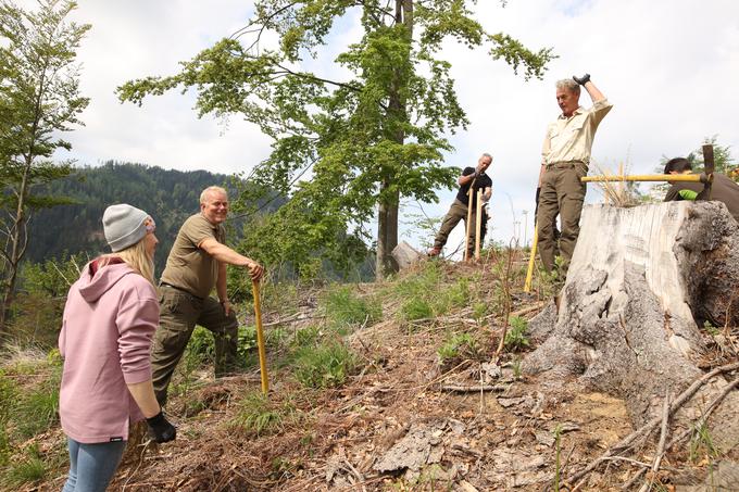 Janja Garnbret sajenje dreves | Foto: Aleš Fevžer