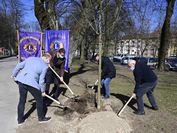 Mlada drevesa v Cekinovem drevoredu je podaril Lions klub Ljubljana, ki tako simbolno proslavlja svojo 30-letnico. | Foto: Lions klub Ljubljana