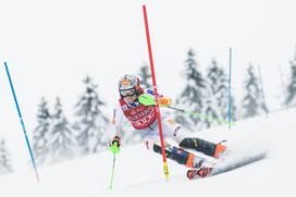 Zlata lisica, slalom