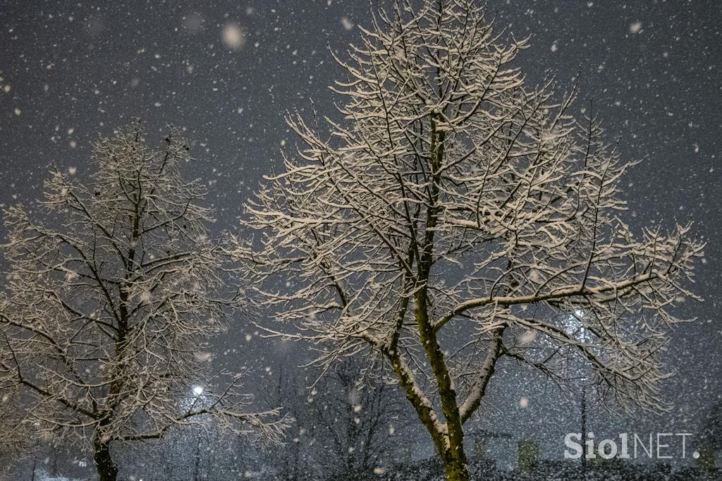 Sneg v Ljubljani