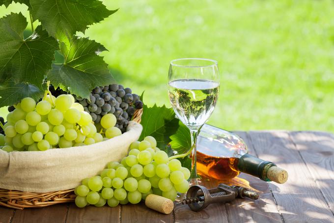 Katero vino pa bo vaš favorit? | Foto: Thinkstock