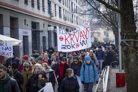 Shod v podporo študentov v Srbiji