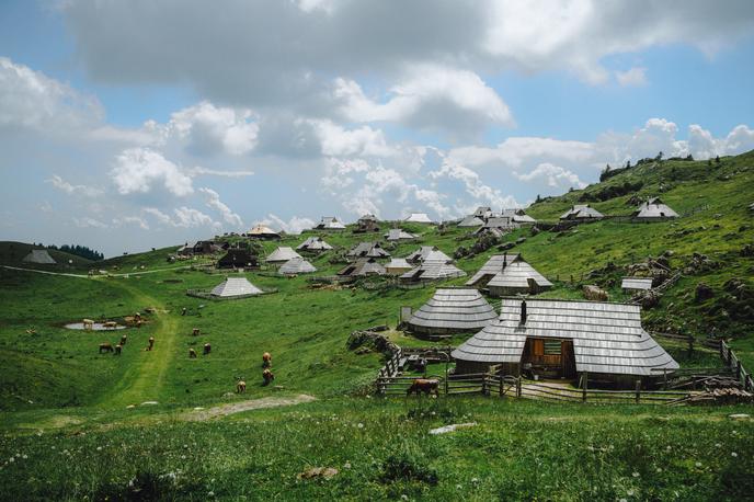 Viki Lešnjak Velika planina | Foto Jan Lukanović