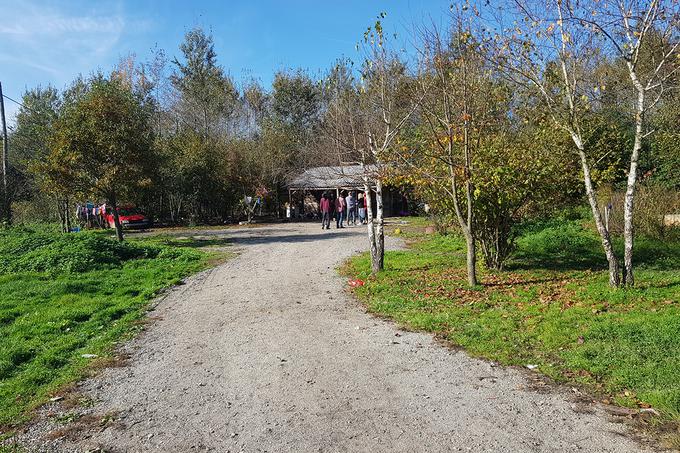 Krvav obračun zaradi pasjega laježa | Foto: Domen Anderle