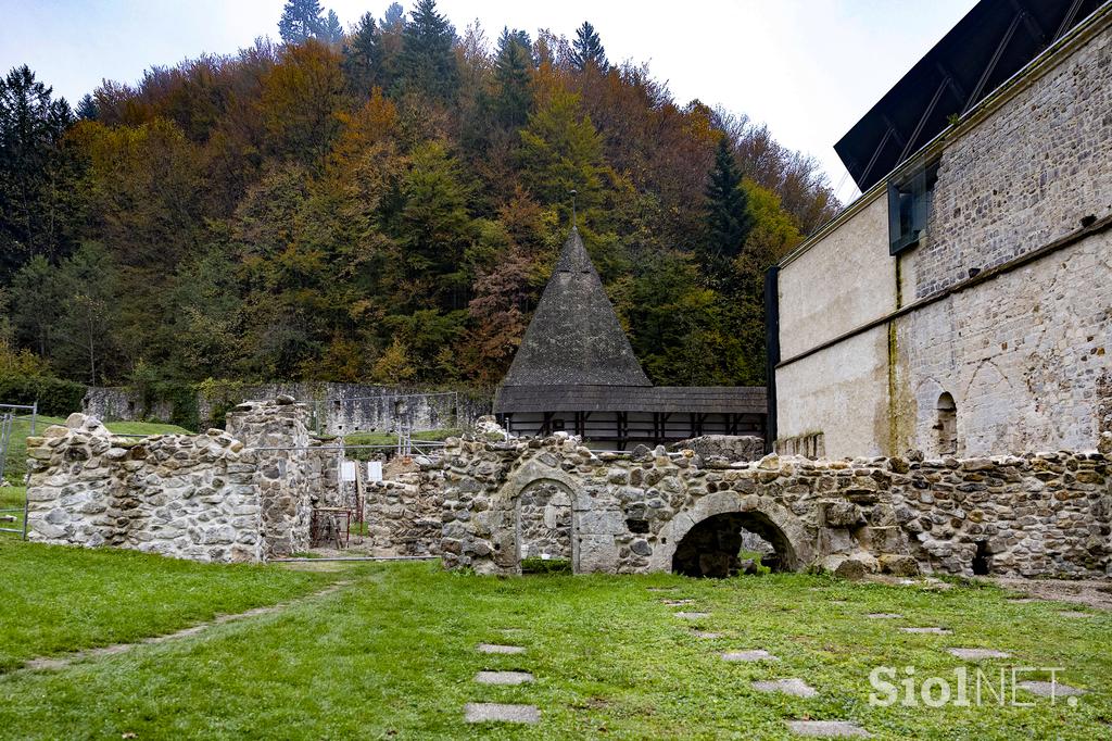 Žička kartuzija