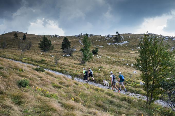 Nanos smo v okviru projekta Naj planinska koča predlani obiskali v družbi ameriškega veleposlanika v Sloveniji Brenta Hartleyja. | Foto: Klemen Korenjak