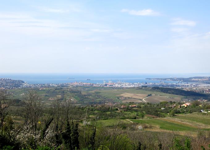 Koper, kot ga vidite iz Marezig, središča dežele refoška | Foto: Miha First