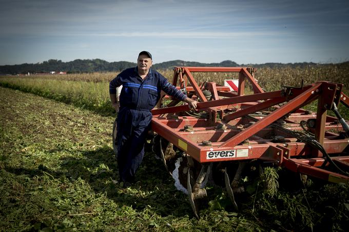 Kmetija majerič Branko Ptuj Ptujski lük čebula ohranitveno kmetijstvo | Foto: Ana Kovač