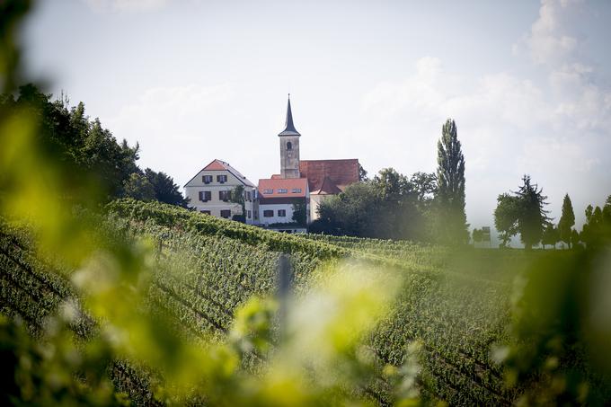 Jeruzalem, Prlekija | Foto: Ana Kovač