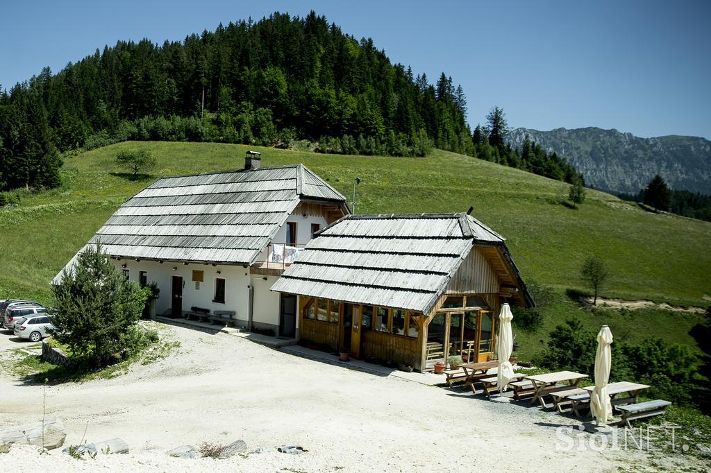 Izletniška kmetija Klemenšek Logarska dolina