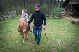 Herman Kisilak Čebelji gradič med čebele kmetija turizem Prekmurje Rogašovci