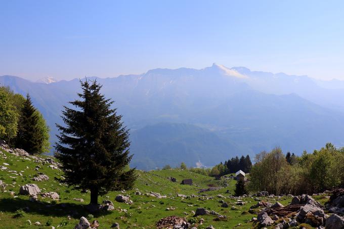 Naravnost navzgor prek Svinske planine. Ko se obrnemo nazaj, pa se nam pokaže mogočni Krn. | Foto: Matej Podgoršek