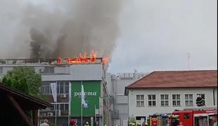 Velik požar zajel tovarno Paloma, na delu več kot 130 gasilcev #foto #video