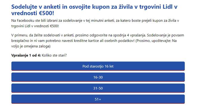 Lidl, Fake Lidl | Foto: Matic Tomšič / Posnetek zaslona