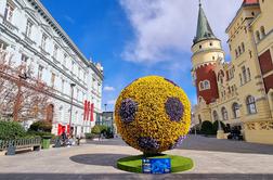 Celje znova med najboljšimi