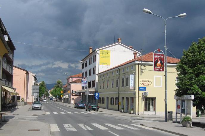 sežana | Občina Sežana potrebuje nov zdravstveni dom, gasilski dom, glasbeno šolo in razširitev osnovne šole, ob tem pa mora razvijati poslovno cono z visokotehnološkimi podjetji in kakovostnimi delovnimi mesti, soglašajo kandidati. 