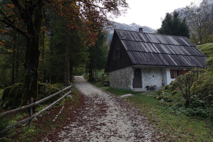 Pohod začnemo v dolini Zadnjica. | Foto: Matej Podgoršek