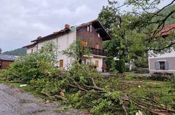 Novogoriški župan o grozljivih razmerah: Srhljivo opustošenje je tukaj