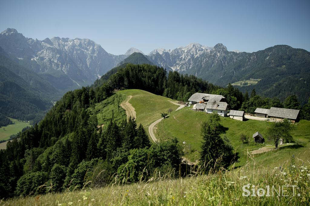 Izletniška kmetija Klemenšek Logarska dolina