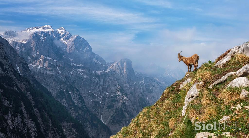 Aleš Krivec, fotografije, Slovenija