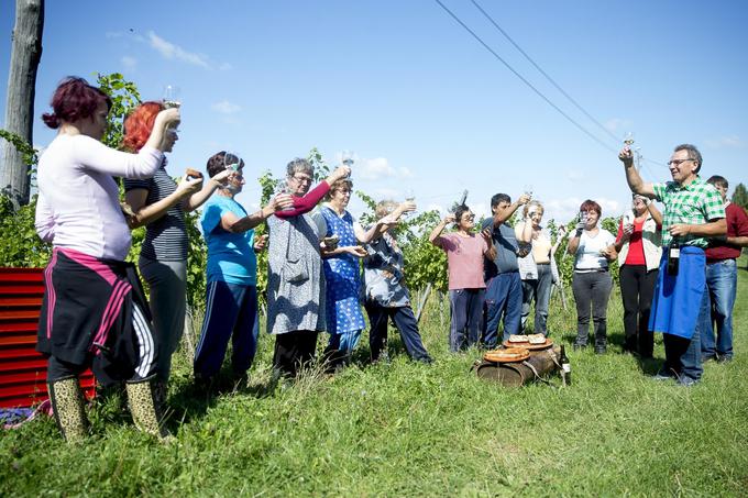 Malica med trgatvijo v jeruzalemskih gričih. | Foto: 