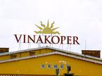 Vina Koper