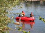 Drina