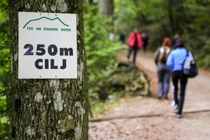 tek na šmarno goro | Foto: Peter Kastelic