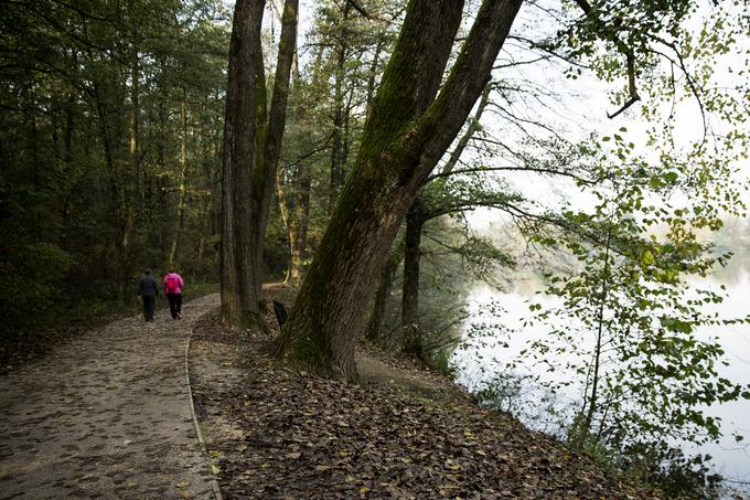 Koseški bajer | Foto: Ana Kovač