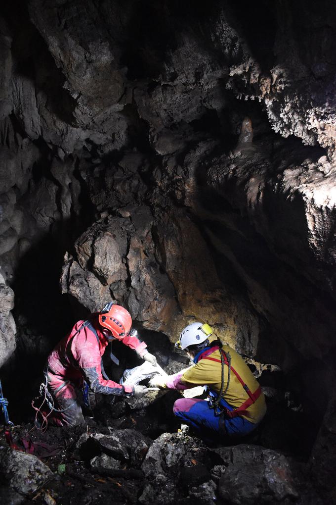 jama Kočevski rog | Foto: dr. Uroš Košir