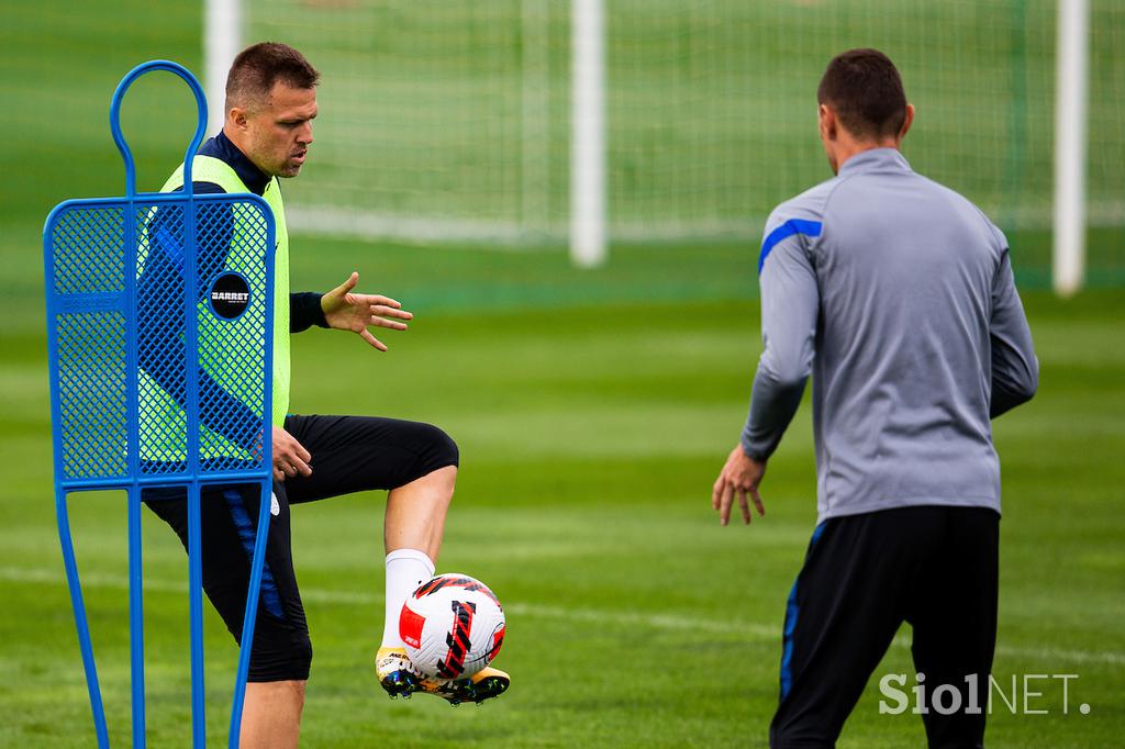 slovenska nogometna reprezentanca, trening