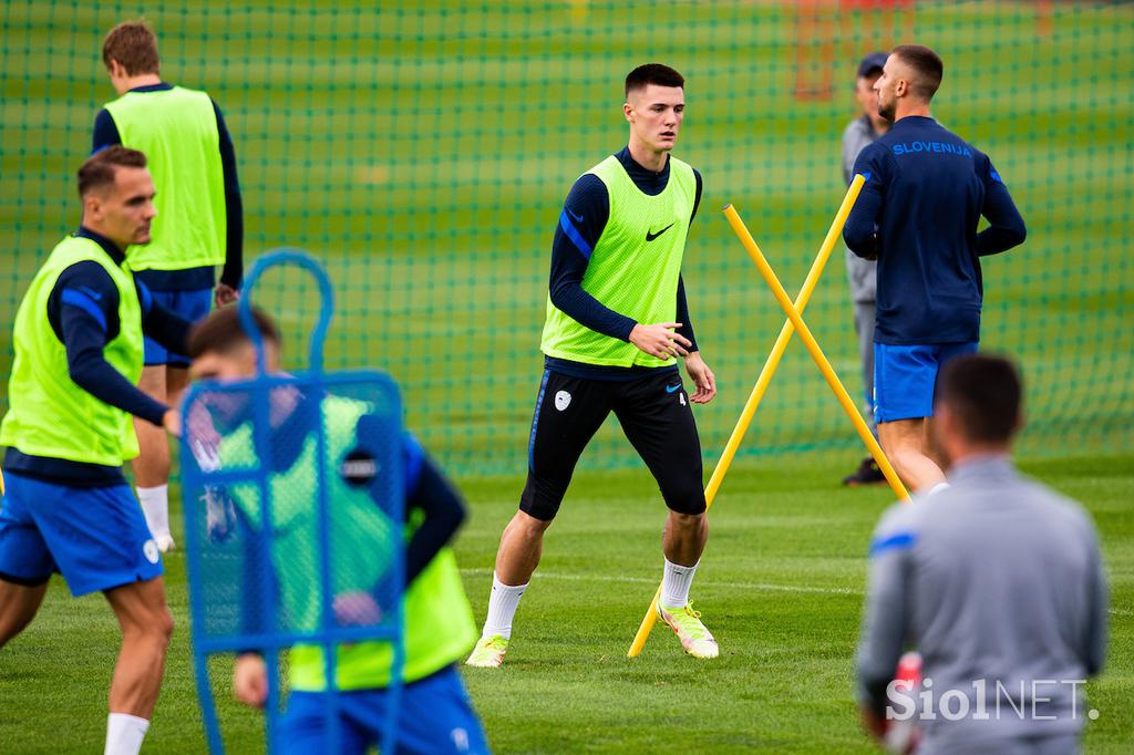 slovenska nogometna reprezentanca, trening