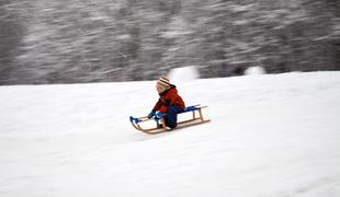 Dve sankačici s proge v drevo