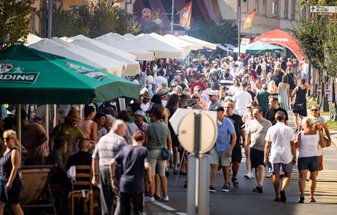 bogračfest 2024 | Foto: Mediaspeed