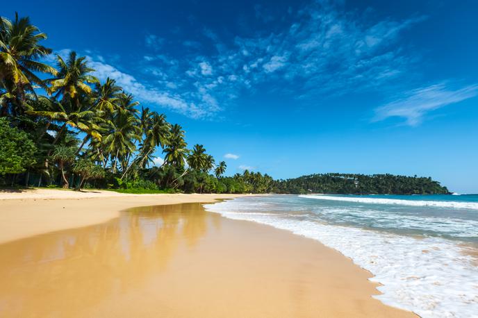 Šri Lanka | Foto Getty Images