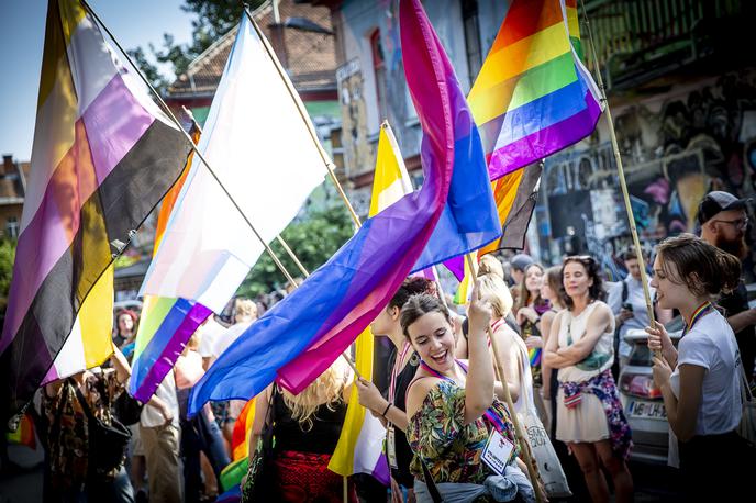 Parada ponosa 2022 | Na lanskem festivalu Parada ponosa v Ljubljani so se udeleženci sprehodili od Metelkove ulice do Kongresnega trga. | Foto Ana Kovač