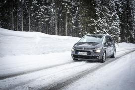 Citroën, biatlon, Pokljuka