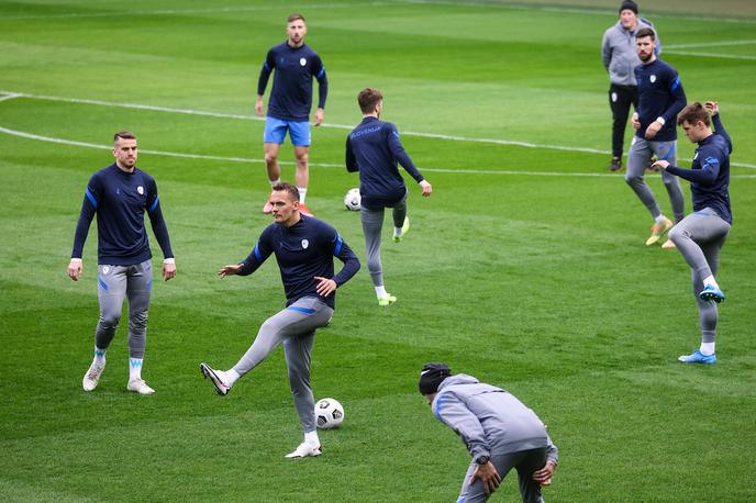 trening nogometna reprezentanca Slovenije | Foto Vid Ponikvar